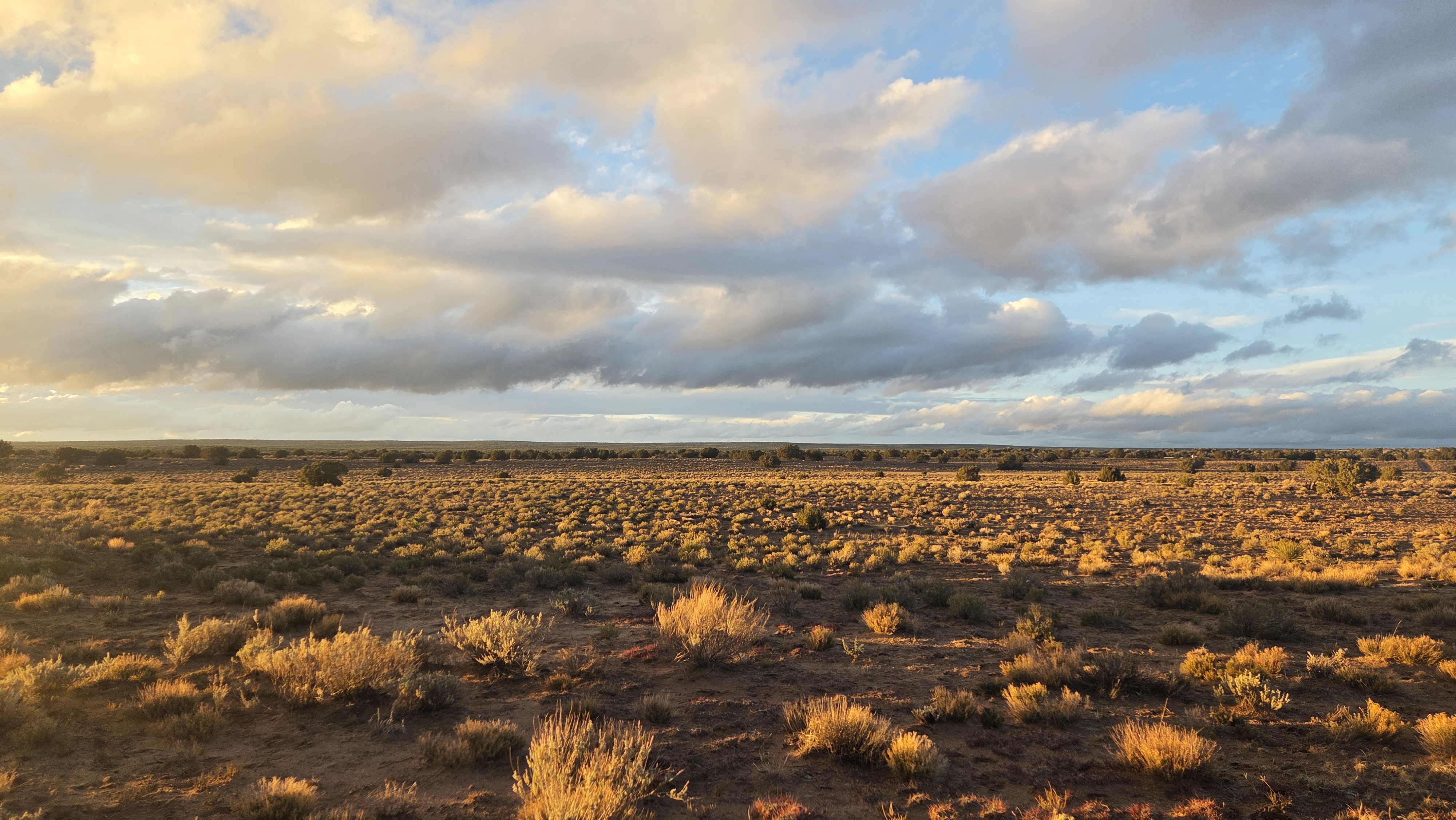 Classic High-Desert Vibes