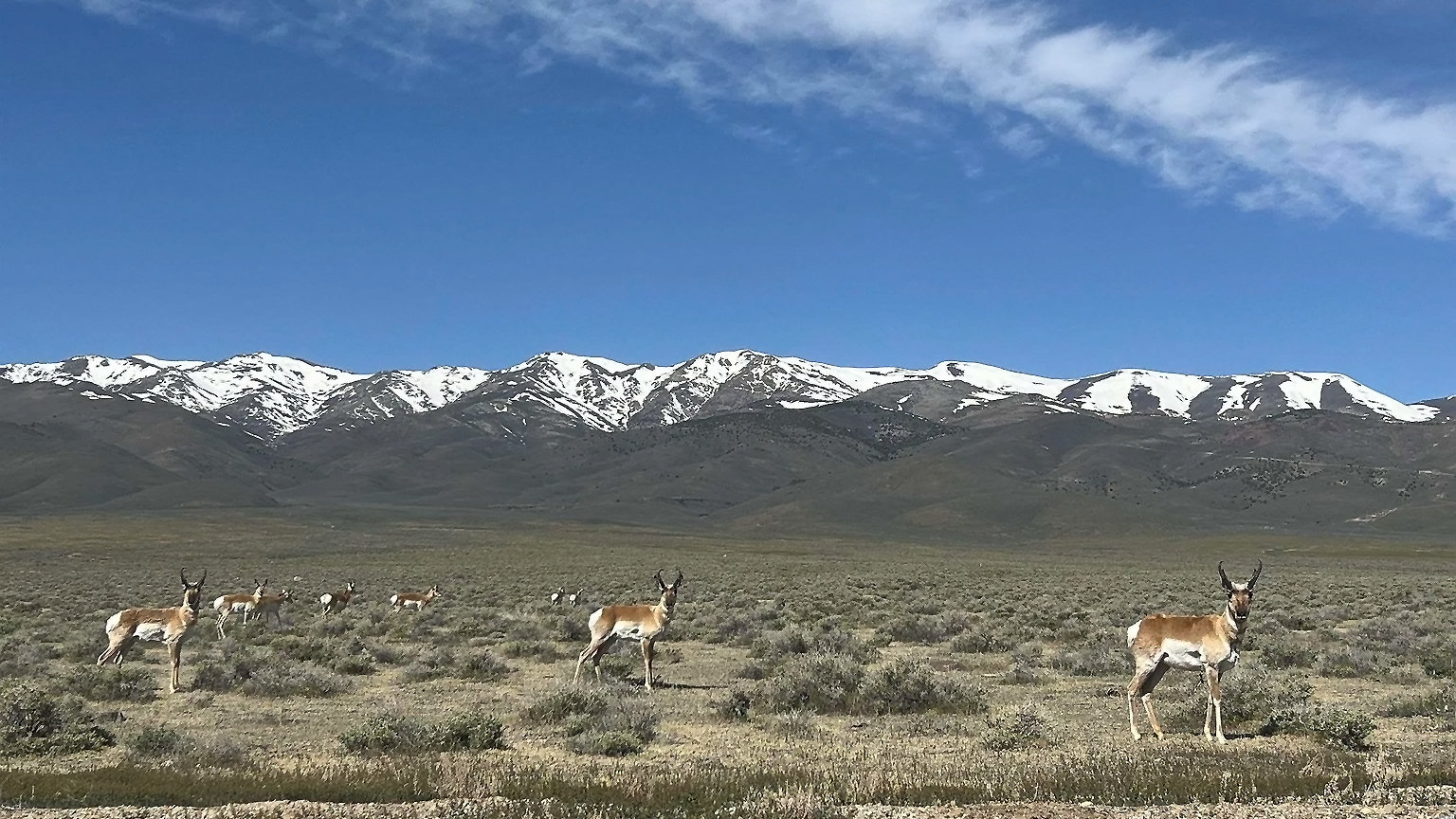Buena Vista Valley
